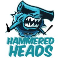 Delco HammeredHeads (offseason) (@hammerheadsddsl) 's Twitter Profile Photo Delco HammeredHeads (offseason) (@hammerheadsddsl) 's Twitter Profile Photo