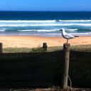 Helen Small - @helen50 - Twitter