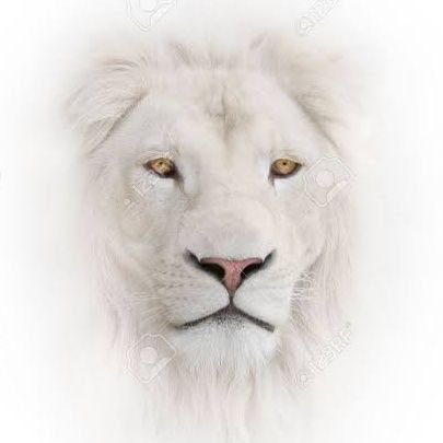RajpootSamaj's profile picture. ये राजपूत  समाज  का ग्रुप है