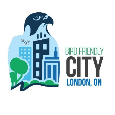 BirdFriendlyLdn Profile Picture