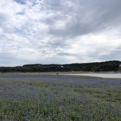 matthewvilla_'s profile picture. 