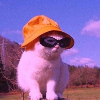 Mari_Foodaay's profile picture. Weirdo, Empath, Seer, Old Soul, Pirate, Gypsy, Flow Artist, Lyran starseed, Kundalini Yogini 🌻✨♈️|♌️|♏️