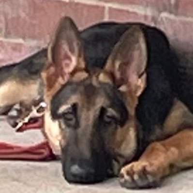 BabuDallas's profile picture. 