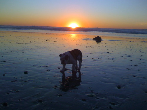 FatKatSurfShop's profile picture. 