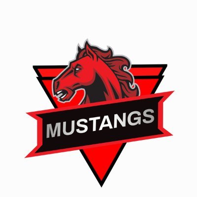 Official Twitter Account of Putnam Science Academy Esports! High School, Grades 8th-12th! 🏆 3x Regional 2x State Champs #GOMUSTANGS!