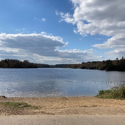 hollybalolly's profile picture. 