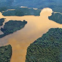 Confluvio (@confluvio) 's Twitter Profile Photo