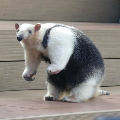 荻さんのプロフィール画像