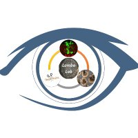 LambaLab (@lablamba) 's Twitter Profile