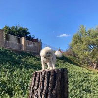 tobin (@_tobin_g_) 's Twitter Profile
