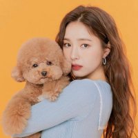かちいぬちゃん🐶 (@kachiinuchan) 's Twitter Profile Photo かちいぬちゃん🐶 (@kachiinuchan) 's Twitter Profile Photo