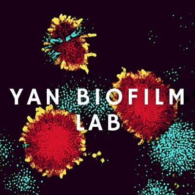 Yan Biofilm Lab