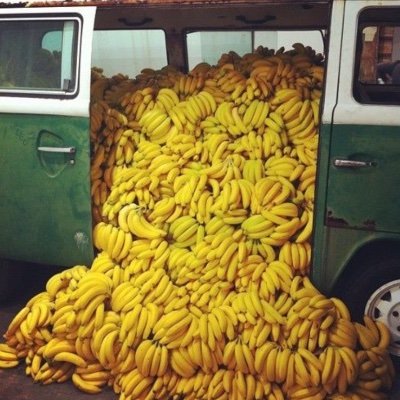 bananatransit Profile Picture