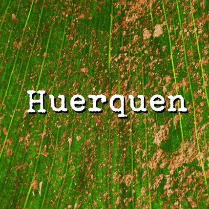 HuerquenCenC Profile Picture