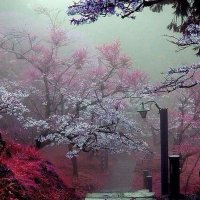 My Heaven 💫 (@myheavensite) 's Twitter Profile