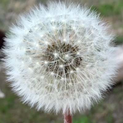 VianBooks's profile picture. On a quest to find things... but mostly books

Reader, writer, world traveler - liberal, feminist, BLM
(she/her)