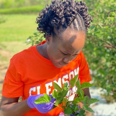 PhD Candidate at CU 🧡💜. I am Interested in plant virus disease epidemiology and ecology🌱🍑. UF alumna🧡💙 . I speak three languages and I love singing