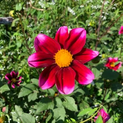 suerynne's profile picture. 