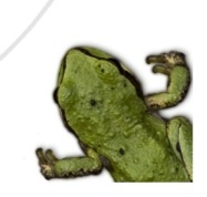 ALECC1's profile picture. The Association for Literature, Environment, and Culture in Canada / Association pour la littérature, l'environnement et la culture au Canada (ALECC)