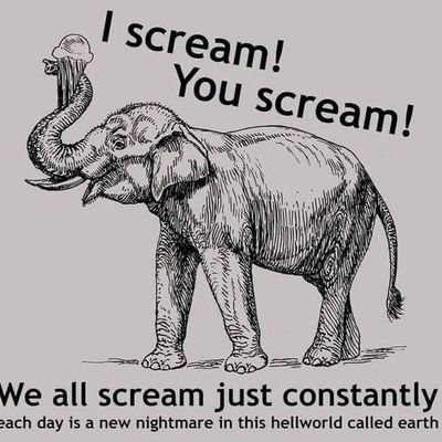 Khajiitguard's profile picture. Khajiit likes many things