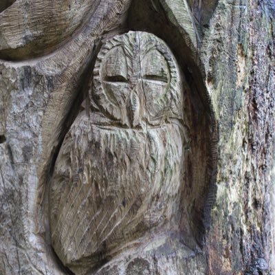 AnnoyedGm's profile picture. I created this account to gripe about my players. Other GMs can relate, I’m sure. #ttrpg #dnd #amwritingfantasy