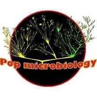 Pop Microbiology(@popmicrobiology) 's Twitter Profile Photo