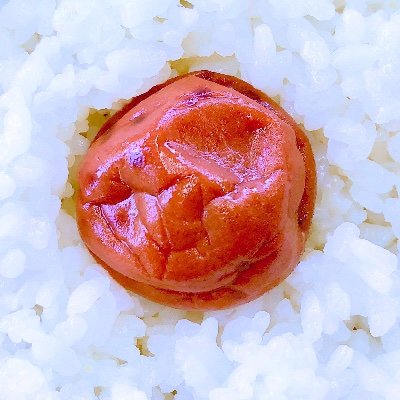 休日カメラ📷マイナー京都キリトリ 時々メジャースポット 基本的に近場の四季の風景を追いかけてます🌊最近写欲めっきり冷めてます。
