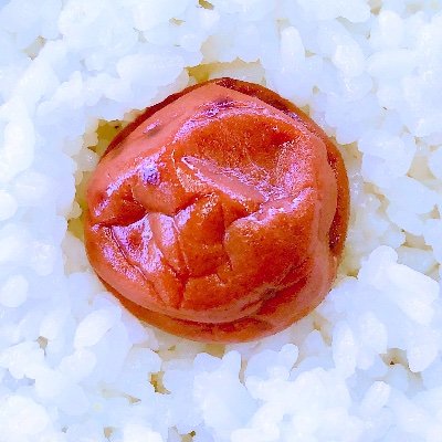 ☾Umeboshi✴︎