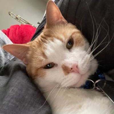 Efactor15's profile picture. 