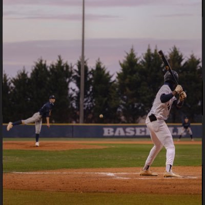 Georgia State Baseball🐾