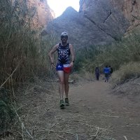 The_US_Lavy (@lavy_us) 's Twitter Profile