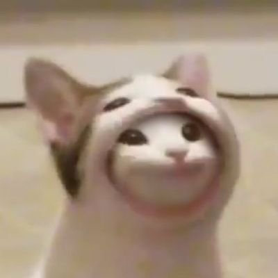 lingさんのプロフィール画像