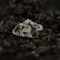 プラスチックと環境が気になる君 @ Plastics and Earth (@j14fiogtkjdoldr) 's Twitter Profile
