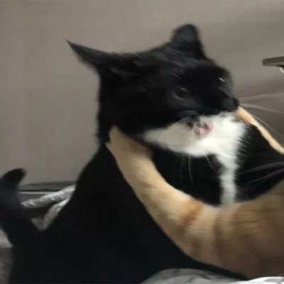 nongjjayngja's profile picture. แบะแบะแบเแะบ