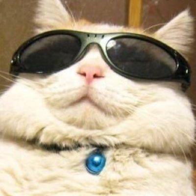 batataenpunga's profile picture. yyy un poquito