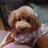 あずきちゃんママ💕低浮上🐶のアイコン