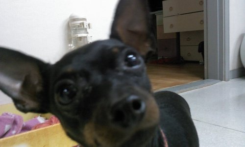 gkstndus98's profile picture. 