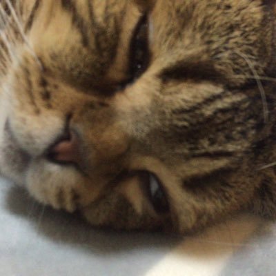 WQvgaCK9NM3Dpfm's profile picture. 