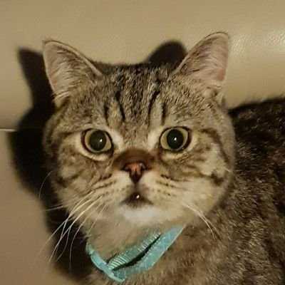 quickmath101's profile picture. 