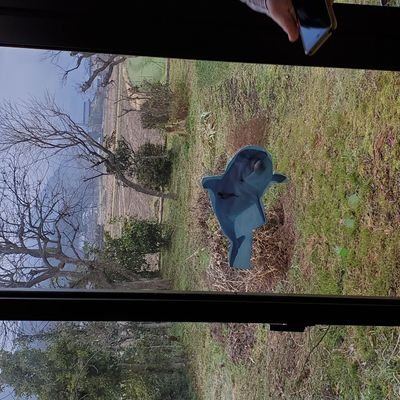 JUNKYA1983's profile picture. 自民、公明、維新、国民民主、参政、保守、N国、幸福支持の人は絡んで来ないで下さい(会話が成立しないため)。正当な理由なく選挙の投票に行かない人お断り。ネット投票、全面的な郵便投票を！共産・れいわ・社民支持。サッカー中心にスポーツ観戦好き。いずれも色んなチーム好きです。マスゴミに代わり真実を発信