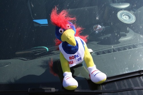 rvent_runners's profile picture. Roparun, een estafetteloop van Parijs naar Rotterdam om zoveel mogelijk geld in te zamelen voor mensen met de ziekte kanker.