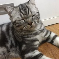 jkana101 (@jkana101) 's Twitter Profile