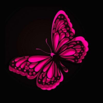 FunToys23's profile picture. 