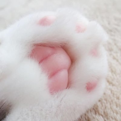 แอคไว้รีวิวซื้อ-ขายของจ้า |18⬆️|