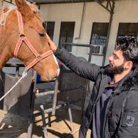 Dr.mohameed alrawage (@mohammed8323454) 's Twitter Profile