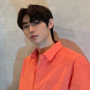 enz_hypen's profile picture. he/him•06
🐧