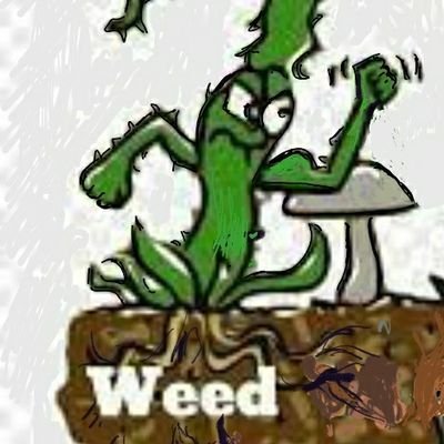 @F3_Weed