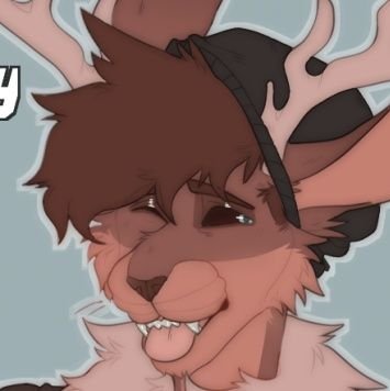 They/Them or He/Him - OC - 🏳️‍🌈 Gay as fuck - I really like guys - Furry/NSFW account - minors DNI 🔞 - 24 - ACAB - DMs open - sometimes horny, always posting