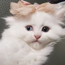 김루루's avatar
