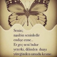 Safiye Köseoğlu (@safiye_koseoglu) 's Twitter Profile